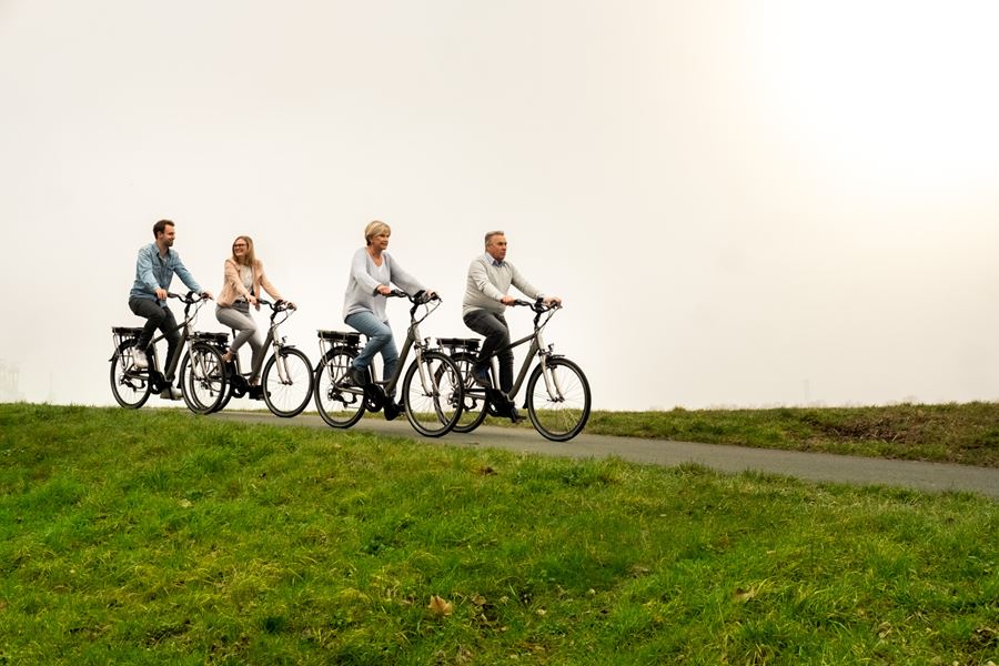 Elektrische fietsen familie