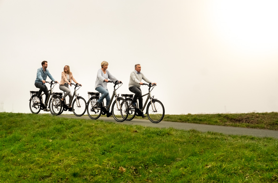 Veloci elektrische fietsen groepsfoto platteland